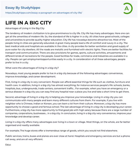 city life essay|Essays About City Life: 5 Essay Examples And .